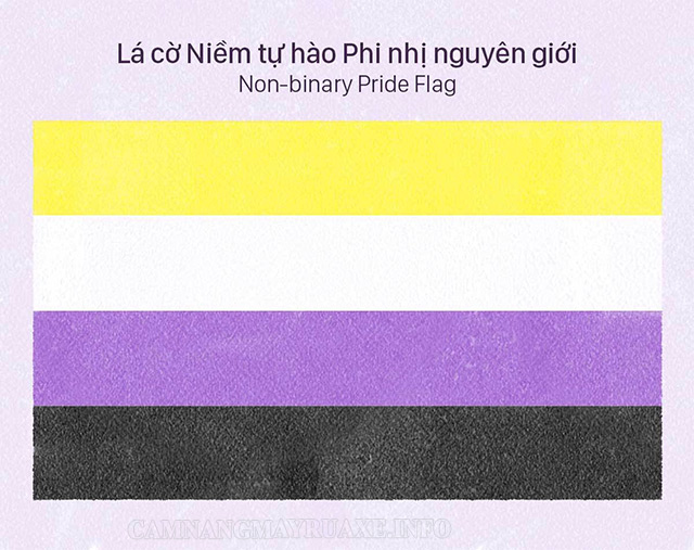 Lá cờ biểu tượng cộng đồng người Non binary 